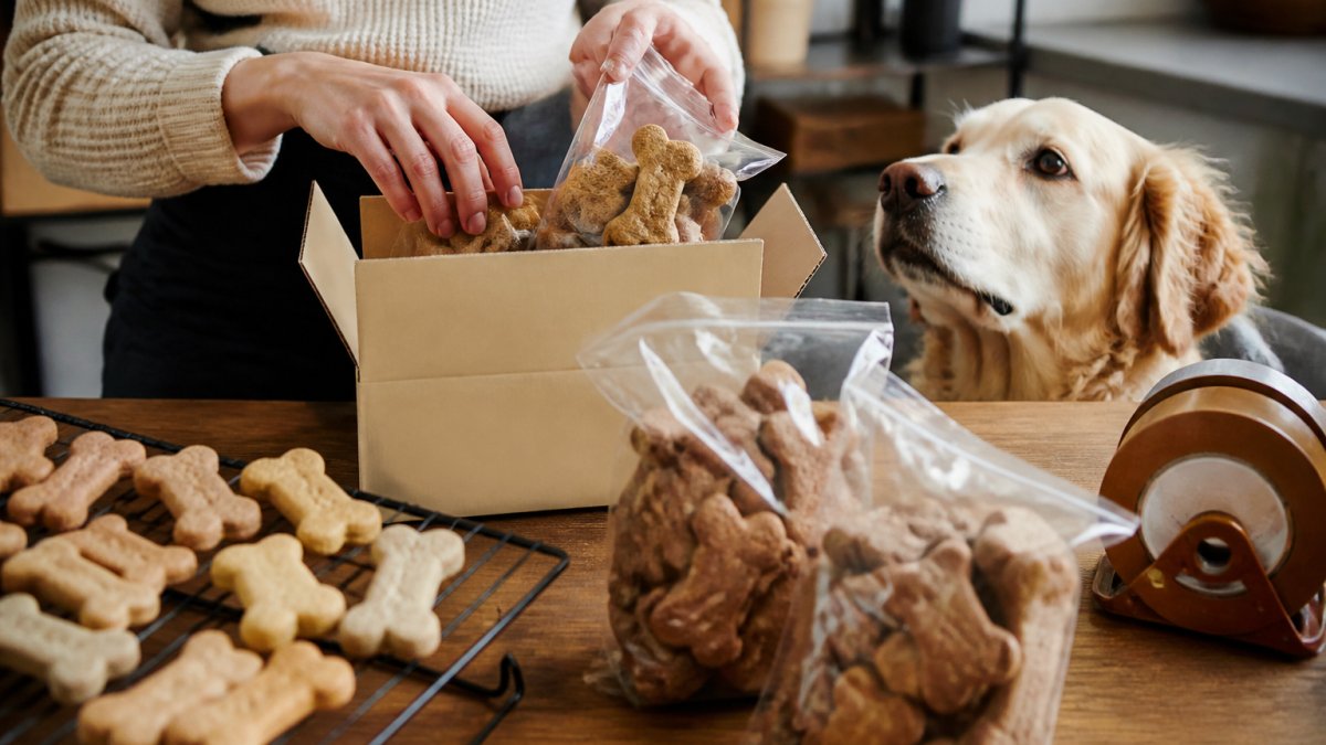 How to Order Handcrafted Dog Treats Online